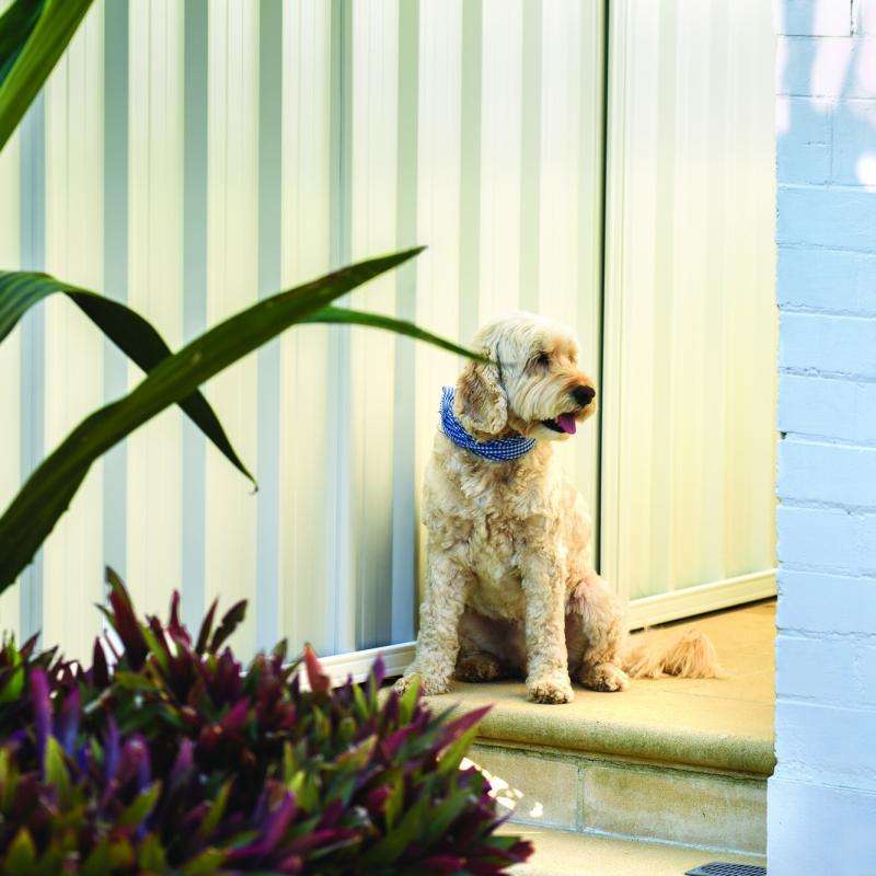 Colorbond Fencing geelong 4535